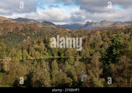 Beaux paysages autour de Tarn Hows au nord de Coniston dans le parc national du Lake District, Cumbria, Angleterre. Banque D'Images