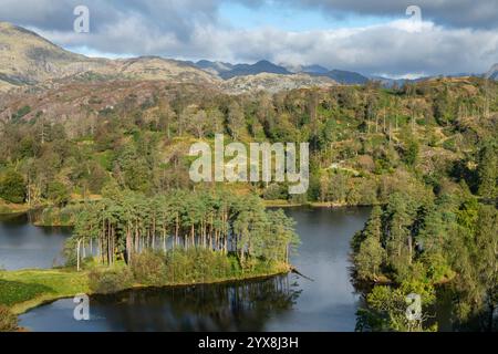 Beaux paysages autour de Tarn Hows au nord de Coniston dans le parc national du Lake District, Cumbria, Angleterre. Banque D'Images