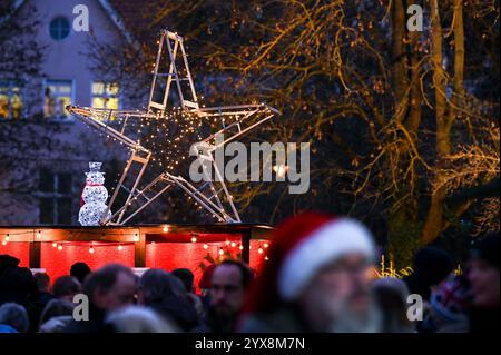 Bernburg, Allemagne. 14 décembre 2024. Une grande étoile de Noël brille sur le terrain du monastère au crépuscule. Chaque année en décembre, l'Université des Sciences appliquées d'Anhalt invite les résidents et les invités de la ville de Bernbourg à un monastère international Noël au monastère de Bernbourg crédit : Heiko Rebsch/dpa/Alamy Live News Banque D'Images