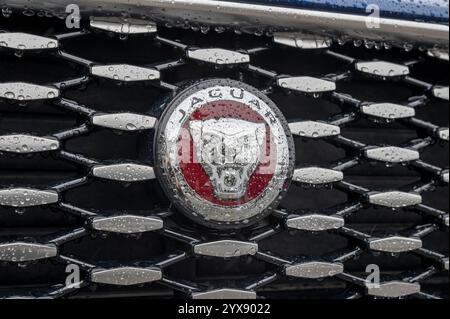 Nitra, Slovaquie - 4 octobre 2024 : logo Jaguar sur une voiture jaguar. Gros plan. Détail. Banque D'Images