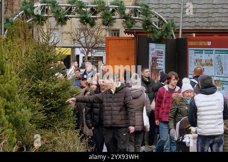 Édimbourg, Écosse, Royaume-Uni. 14 décembre 2024. Météo britannique : les habitants sont allés dans les marchés et les rues de noël alors que la capitale remplissait pour les trois semaines de célébration dans la ville. Les stands de noël sur la place St andrews. Crédit Gerard Ferry/Alamy Live News Banque D'Images