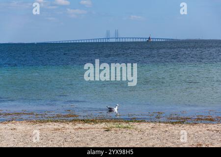 Pont d'Oresund vu depuis le parc de la plage d'Amager, Copenhague, Danemark, jour ensoleillé Banque D'Images
