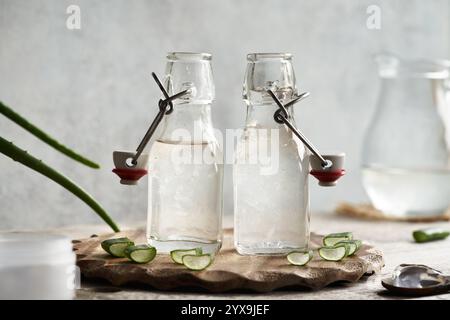 Deux bouteilles de jus naturel d'aloe vera avec des feuilles fraîches avec de la paille de bambou écologique. Zéro déchet. Banque D'Images