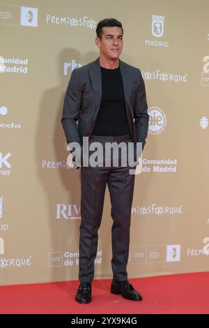 Mario Casas assiste au tapis rouge des Prix Jose Maria Forque 2024 au Palacio de Congresos de Madrid le 14 décembre 2024 à Madrid en Espagne Banque D'Images