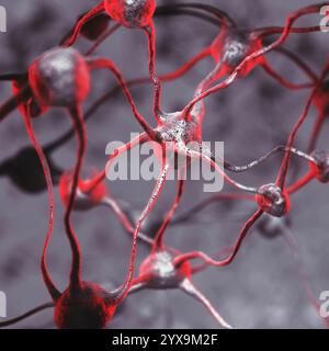 3D illustration d'un réseau de neurones biologiques d'un cerveau humain, les neurones interconnectés, les cellules du cerveau et les connexions, générée par ordinateur mo scientifique Banque D'Images