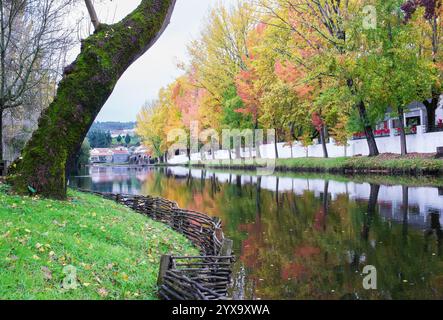 Trues avec feuillage d'automne à côté d'une rivière Banque D'Images