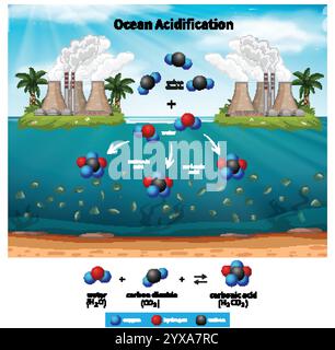 Illustration du processus d'acidification des océans et des réactions chimiques Illustration de Vecteur