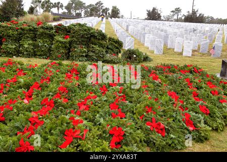 Cimetière national de Cap Canaveral (CCNC). Comté de Brevard, Floride, États-Unis. 14 décembre 2024. La Journée nationale des couronnes à travers l'Amérique a eu lieu à travers l'Amérique aujourd'hui. Rejoindre les plus de deux millions de bénévoles et de sympathisants qui se sont rassemblés pour se souvenir, honorer et enseigner dans plus de 4 600 sites participants dans les 50 états, en mer et à l'étranger. Plus de 1900 personnes sont arrivées au CCNC pour l'événement d'aujourd'hui. Un vent rapide et une tempête de pluie n'ont pas arrêté les activités pour cet événement Salomon. Crédit : Julian Leek/Alamy Live News Banque D'Images