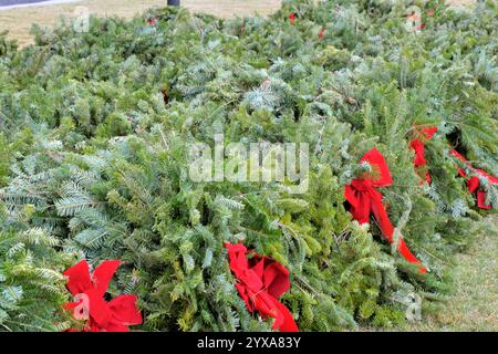Cimetière national de Cap Canaveral (CCNC). Comté de Brevard, Floride, États-Unis. 14 décembre 2024. La Journée nationale des couronnes à travers l'Amérique a eu lieu à travers l'Amérique aujourd'hui. Rejoindre les plus de deux millions de bénévoles et de sympathisants qui se sont rassemblés pour se souvenir, honorer et enseigner dans plus de 4 600 sites participants dans les 50 états, en mer et à l'étranger. Plus de 1900 personnes sont arrivées au CCNC pour l'événement d'aujourd'hui. Un vent rapide et une tempête de pluie n'ont pas arrêté les activités pour cet événement Salomon. Crédit : Julian Leek/Alamy Live News Banque D'Images