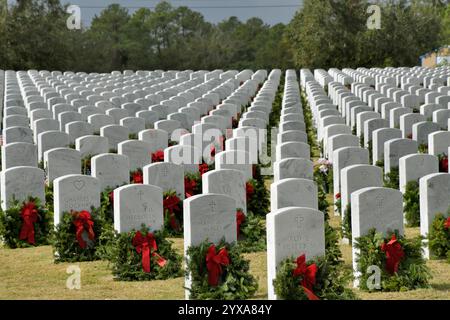 Cimetière national de Cap Canaveral (CCNC). Comté de Brevard, Floride, États-Unis. 14 décembre 2024. La Journée nationale des couronnes à travers l'Amérique a eu lieu à travers l'Amérique aujourd'hui. Rejoindre les plus de deux millions de bénévoles et de sympathisants qui se sont rassemblés pour se souvenir, honorer et enseigner dans plus de 4 600 sites participants dans les 50 états, en mer et à l'étranger. Plus de 1900 personnes sont arrivées au CCNC pour l'événement d'aujourd'hui. Un vent rapide et une tempête de pluie n'ont pas arrêté les activités pour cet événement Salomon. Crédit : Julian Leek/Alamy Live News Banque D'Images