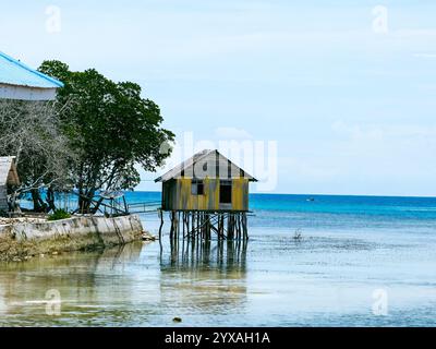 Îles Togiennes 2025, Sulawesi central, Indonésie. Merveilleux voyage en Indonésie Banque D'Images