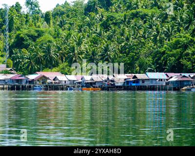 Îles Togiennes 2025, Sulawesi central, Indonésie. Merveilleux voyage en Indonésie Banque D'Images