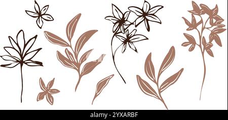 Illustration botanique vectorielle minimaliste. fleurs et feuilles dessinées à la main dans des contours moka et brasure. bouquet, dessin au trait et silhouettes, accentuant Illustration de Vecteur