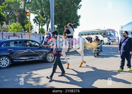 Udaipur, Rajasthan, Inde, 14 décembre 2024 : les touristes montent à dos de chameau près du lac Fateh Sagar par une froide journée d'hiver dans la ville lacustre d'Udaipur. Crédit : Sumit Saraswat / Alamy Live News Banque D'Images