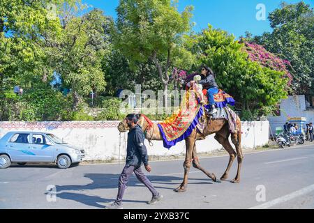 Udaipur, Rajasthan, Inde, 14 décembre 2024 : les touristes montent à dos de chameau près du lac Fateh Sagar par une froide journée d'hiver dans la ville lacustre d'Udaipur. Crédit : Sumit Saraswat / Alamy Live News Banque D'Images