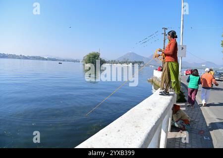 Udaipur, Rajasthan, Inde, 14 décembre 2024 : une pêcheuse indienne attrape du poisson à l'intérieur du lac Fateh Sagar par une froide journée d'hiver dans la ville lacustre d'Udaipur. Crédit : Sumit Saraswat / Alamy Live News Banque D'Images