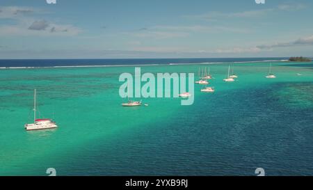 Vue aérienne par drone de voiliers yachts et catamarans amarrés dans une eau turquoise peu profonde près d'une île tropicale, créant une scène sereine et idyllique, des vacances d'été relaxantes ou un concept d'escapade Banque D'Images