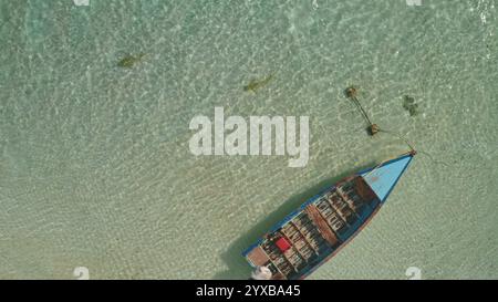 Requins nageant près d'un vieux bateau de pêche en bois dans l'eau cristalline peu profonde de la plage de l'île tropicale en Polynésie française. Paradis de la nature sauvage à distance, fond de voyage exotique. Vue aérienne de haut en bas Banque D'Images