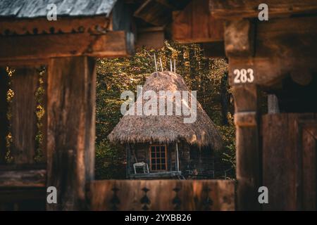 Un chalet charmant et pittoresque avec un toit de chaume, niché magnifiquement dans un cadre de forêt sereine Banque D'Images