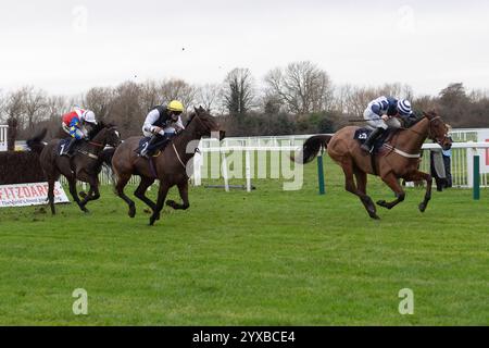 Windsor, Royaume-Uni. 15 décembre 2024. VINCENZO (no 3) monté par le jockey Dylan Johnston remporte la Fitzdares Royal Windsor novices Limited handicap Steeple Chase Class 3 GBB Race au Jumps Racing Returns Meeting au Royal Windsor Racecourse à Windsor, Berkshire. Propriétaire Walters Plant Hire Ltd Entraîneur Sam Thomas, Cardiff. Crédit : Maureen McLean/Alamy Live News Banque D'Images