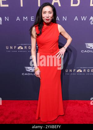 Beverly Hills, États-Unis. 14 décembre 2024. BEVERLY HILLS, LOS ANGELES, CALIFORNIE, États-Unis - 14 DÉCEMBRE : Jodi long arrive au 22e Gala annuel inoubliable Asian American Awards 2024 qui se tient à l'hôtel Beverly Hilton le 14 décembre 2024 à Beverly Hills, Los Angeles, Californie, États-Unis. (Photo de Xavier Collin/image Press Agency) crédit : image Press Agency/Alamy Live News Banque D'Images