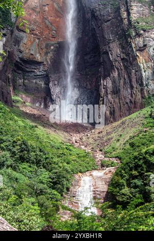 Vue de la queue de Angel Falls, la plus haute cascade, Ayantepui, Gran Sabana, Bolivar State, Venezuela, Amérique du Sud Banque D'Images