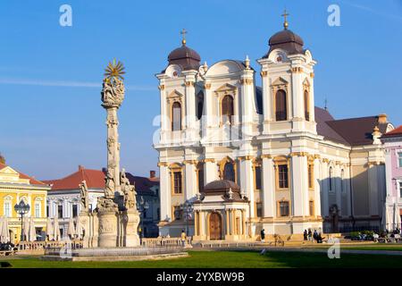 La cathédrale catholique romaine de George à Timisoara, Roumanie, avec le Monument de la Sainte Trinité au premier plan, baignée de soleil sous un s bleu clair Banque D'Images