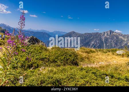 Paysage pittoresque des Alpes sur la Tour du Montblanc. Sommets rocheux et enneigés des Alpes sur la route de trekking TMB autour du Mont Blanc à Chamonix Banque D'Images