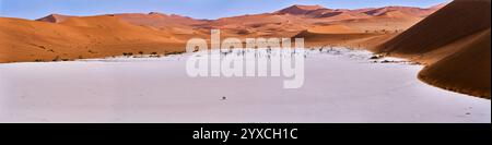 Une image panoramique haute résolution de Deadvlei, Namibie, Afrique. Au loin, les arbres pétrifiés célèbres sont visibles. Dunes entourant la vlei. Banque D'Images