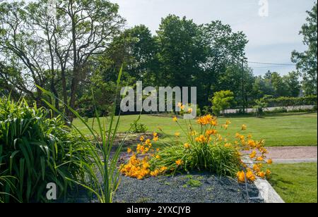 Lit idyllique Daylys orange dans le jardin botanique de Kaisaniemi à Helsinki - le cadre de lit est en acier corten. Fantastique été finlandais. Verre Gree Banque D'Images