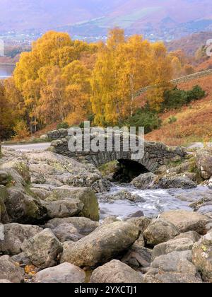 Bouleau argenté recouvert de feuilles jaunes dorées derrière Ashness Bridge en automne dans le Lake District anglais, novembre, Cumbria, Angleterre, Royaume-Uni Banque D'Images