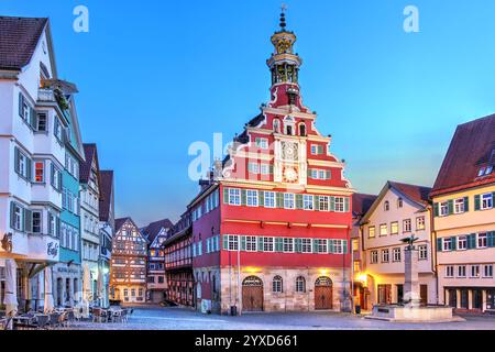 L'ancien hôtel de ville (Alte Rathaus) dans la Rathausplatz à Esslingen am Neckar, près de Stuttgart dans le Bade-Wurtemberg, Allemagne Banque D'Images