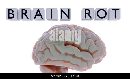 Rendu 3d du cerveau humain et des mots 'BRAIN ROT' sur les cubes blancs. Banque D'Images