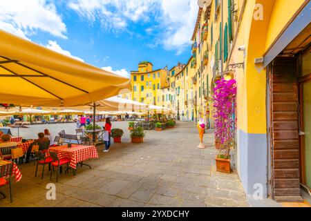 Cafés sur le trottoir, boutiques de gelato et magasins à la Piazza del Anfiteatro circulaire colorée, l'ancien amphithéâtre dans la ville médiévale de Lucques en Italie. Banque D'Images