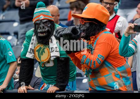 Houston, Texas, États-Unis. 15 décembre 2024. Les fans des Miami Dolphins avant un match entre les Miami Dolphins et les Houston Texans à Houston, Texas. Trask Smith/CSM/Alamy Live News Banque D'Images