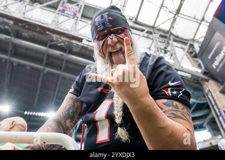 Houston, Texas, États-Unis. 15 décembre 2024. Le fan ultime des Texans de Houston lors d'un match entre les Dolphins de Miami et les Texans de Houston à Houston, Texas. Trask Smith/CSM/Alamy Live News Banque D'Images