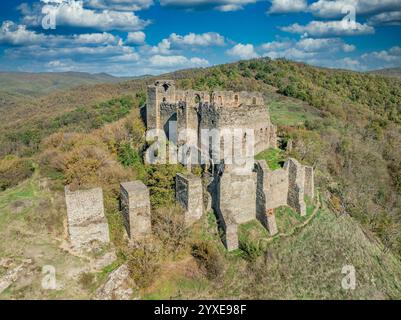 Vue aérienne des ruines du château médiéval de Soimos au-dessus de la rivière Mures en Roumanie avec palais gothique, donjon, remparts, murs concentriques près de Lipova Banque D'Images