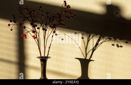 Viburnum rouge rowan dans le vase en métal noir contre le mur ombragé Banque D'Images
