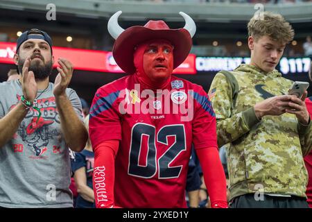 Houston, Texas, États-Unis. 15 décembre 2024. Un fan des Houston Texans regarde pendant un match entre les Miami Dolphins et les Houston Texans à Houston, au Texas. Trask Smith/CSM/Alamy Live News Banque D'Images