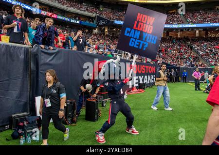 Houston, Texas, États-Unis. 15 décembre 2024. La mascotte Toro des Texans de Houston lors d'un match entre les Dolphins de Miami et les Texans de Houston à Houston, au Texas. Trask Smith/CSM/Alamy Live News Banque D'Images