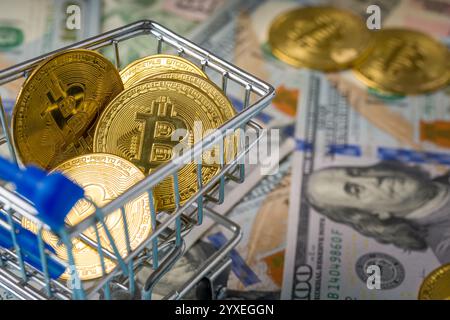 Pièces bitcoin d'or assis sur 100 dollars dans le panier. Concept de crypto-monnaie Bitcoin Banque D'Images