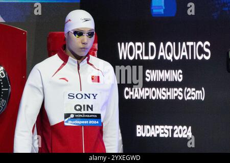 Budapest, Hongrie. 15 décembre 2024. Qin Haiyang de Chine se prépare pour la finale masculine du 50m brasse aux Championnats du monde de natation aquatique (25m) à Budapest, Hongrie, le 15 décembre 2024. Crédit : Attila Volgyi/Xinhua/Alamy Live News Banque D'Images