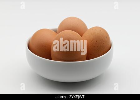 Gros plan de quatre œufs bruns nichés dans un bol blanc simple sur un fond blanc Uni. Banque D'Images