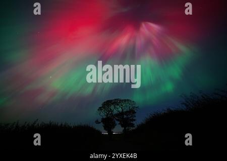 EXAMEN DE l'ANNÉE 2024 photo du dossier datée du 10/10/24 : les aurores boréales, également connues sous le nom d'aurores boréales, exposées dans le ciel au-dessus des arbres embrassants près de Kinghorn dans le Fife. Date d'émission : lundi 16 décembre 2024. Banque D'Images