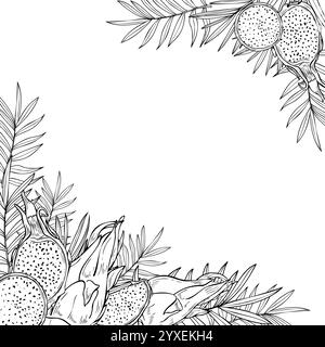 Monochrome pitahaya dragon fruit et feuilles tropicales cadre carré graphique avec espace de copie pour le texte. Tranches de fruits, dessin de gravure vectorielle de plantes. Illustration de Vecteur