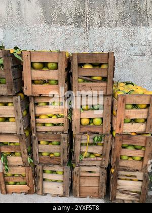 Pile de caisses en bois rustiques remplies d'oranges contre un mur de ciment gris Banque D'Images