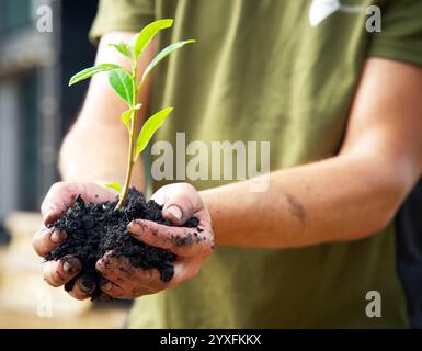 Agriculture de carbone, compost, terreau, tenir, culture, saison, substrat, environnement, naturel, saleté, deux mains tenant, durabilité, bio-soin, Banque D'Images