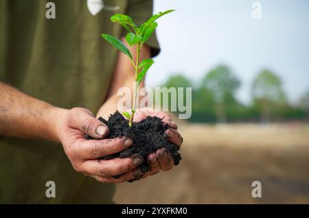 Agriculture de carbone, compost, terreau, tenir, culture, saison, substrat, environnement, naturel, saleté, deux mains tenant, durabilité, bio-soin, Banque D'Images