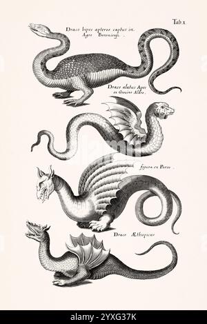 Illustration antique d'animaux fantastiques et de créatures mythiques par Joannes Jonstonus. gravure du xviie siècle parfaite pour les collectionneurs et les passionnés. Banque D'Images