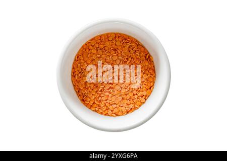 Lentilles rouges crues, grains en vrac sur bol blanc, isolées sur fond blanc avec chemin de détourage Banque D'Images